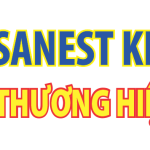 SANEST KHÁNH HOÀ logo